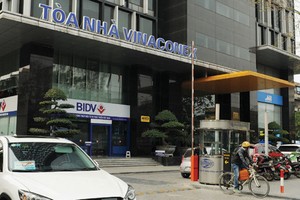 Vinaconex (VCG) chi hơn 353 tỷ đồng trả cổ tức, tỷ lệ 8%