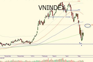 Nhìn nhà đầu tư chuyên nghiệp để hành động