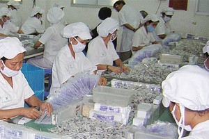 Hai câu hỏi lớn về Dược Cửu Long