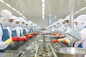 Minh Phú dự kiến chia cổ tức 50% bằng tiền mặt trong 6 tháng đầu năm