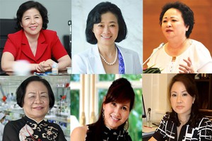 Những bông hồng vàng tỏa sắc