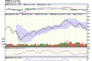 Đồ thị phân tích kỹ thuật VNI (Nguồn: HOSE)