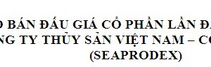 SEAPRODEX: Thông báo đấu giá cổ phần lần đầu ra công chúng
