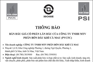Thông báo bán đấu giá cổ phần lần đầu PVCFC