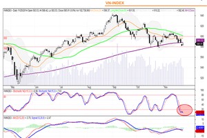Đồ thị phân tích kỹ thuật VN-Index (Nguồn: SHS)