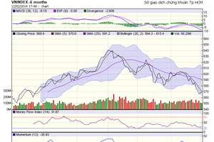 Đồ thị phân tích kỹ thuật VN-Index (Nguồn: HOSE)
