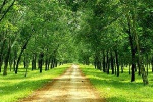 Cổ phiếu cần quan tâm ngày 4/3