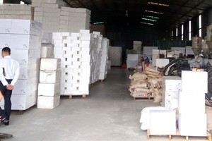 Mặt hàng bao bì xốp EPS định hình đóng góp lớn vào kết quả kinh doanh khả quan của ITQ