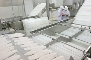 VASEP lo ngại mục tiêu xuất khẩu thủy sản 8 tỷ USD trong năm nay khó đạt được