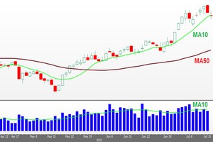 Đồ thị ngày VN-Index (Nguồn: VPBS)