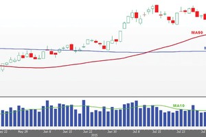 Nhà đầu tư tìm kiếm cơ hội ở nhóm penny