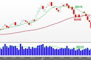 Đồ thị phân tích kỹ thuật VN-Index (Nguồn: VPBS)