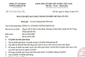 IBSC (VIX) thông báo kết quả phát hành cổ phiếu trả cổ tức