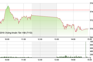 Phiên chiều 5/1: Nỗi sợ lấn át, VN-Index chia tay mốc 570 điểm