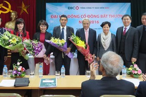 HĐQT mới của BIC sau khi bầu bổ sung/thay thế