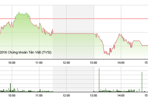 Phiên giao dịch chiều 15/3: Sắc đỏ bao trùm, VN-Index mất mốc 575 điểm