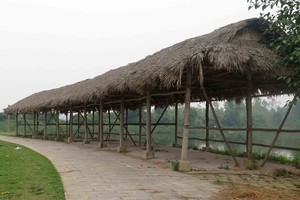  Cận cảnh hoang tàn tại dự án ngàn tỷ 