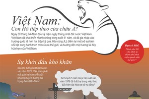 [infoGraphics] Chặng đường phát triển của thị trường bất động sản Việt Nam