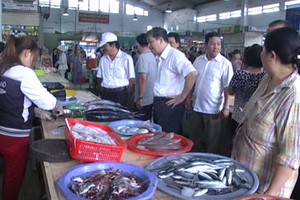 Các cơ quan chức năng lấy mẫu xét nghiệm kim loại nặng trong hải sản ngày 2 lần. Ảnh: Báo Thanh niên