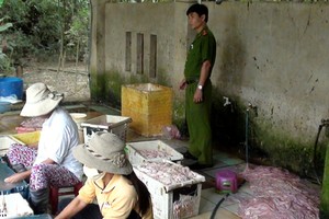 Lực lượng chức năng kiểm tra cơ sở vi phạm. Ảnh: VGP/Mai Vy