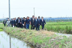 Ảnh: VGP/Quang Hiếu