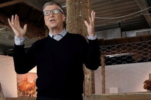 Bill Gates cho rằng nuôi gà có thể giúp người dân châu Phi thoát nghèo. Ảnh: Reuters