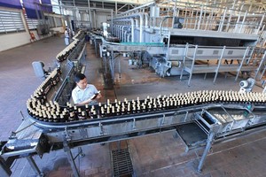 Bia Hà Nội, dang dở một tầm nhìn thương hiệu (kỳ 2) 