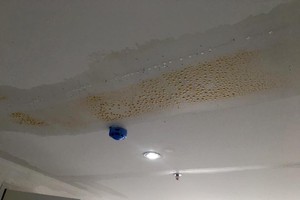 Trần nhà mới đưa vào sử dụng nhưng đã thấm nước
