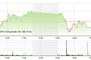 Phiên chiều 16/8: VIC giảm mạnh, VN-Index “gãy cánh”