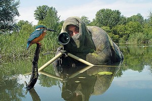 Khi các nhiếp ảnh gia 'hy sinh vì nghệ thuật'