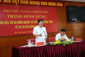 Phó Thủ tướng Trịnh Đình Dũng phát biểu tại buổi làm việc. Ảnh: VGP