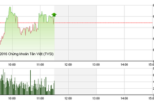 Phiên sáng 30/8: SHN nổi sóng, 2 chỉ số đóng cửa trong sắc xanh