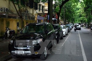 Ảnh minh họa. (Nguồn: TTXVN)