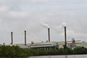 Một góc nhà máy Vedan Việt Nam, bên dòng sông Thị Vải Đồng Nai