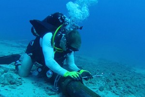 Kinh doanh online đình trệ vì đứt cáp quang