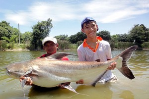  3 loài cá được mệnh danh thủy quái miền Tây