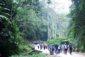 Vườn quốc gia Phù Mát là rừng đặc dụng nằm ở phía tây Nghệ An, tiếng Thái Pù Mát có nghĩa "con dốc cao". Nơi đây được xác nhận là vùng lõi khu dự trữ sinh quyển miền tây Nghệ An do UNESCO công nhận năm 2007. Trên ảnh, du khách tham quan vườn quốc gia vào những ngày cuối tháng 3. 