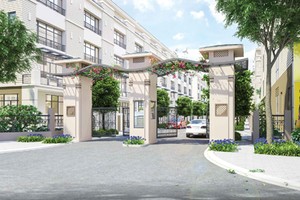 Dự án Pandora 53 Triều Khúc.