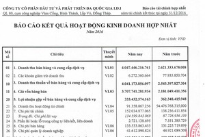 IDI công bố kết quả hoạt động kinh doanh hợp nhất năm 2016
