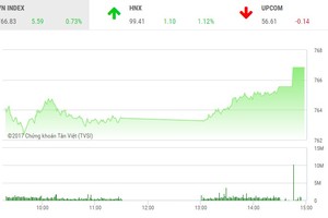 Phiên chiều 19/6: Sắc tím lan rộng, VN-Index tăng vọt cuối phiên