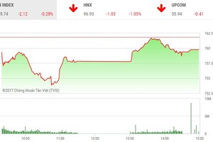 Phiên chiều 24/7: Penny bị bán tháo, cổ phiếu lớn không cứu nổi thị trường