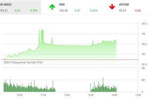 Phiên chiều 7/8: Penny đua sắc tím,VN-Index không còn giật cục