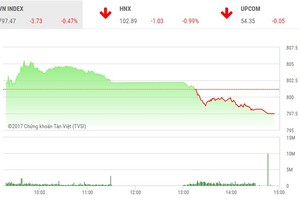 Phiên chiều 11/9: Lực bán ồ ạt, thị trường quay đầu giảm mạnh