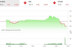 Phiên chiều 19/9: Leo đỉnh trượt chân, VN-Index ngã nhào về mức thấp nhất ngày