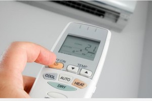 Ảnh minh họa:Pippin Brothers.