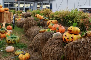 Gợi ý một số địa điểm: Crescent mall (quận 7), Aeon mall (quận Tân Phú, quận Bình Tân), Takashimaya (quận 1)... Ảnh minh họa: Thanh Tuyết.