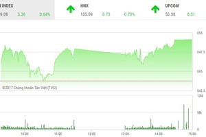 Phiên chiều 6/11: Sắc xanh ngập tràn, VN-Index lên mức cao nhất ngày