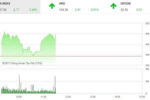 Phiên sáng 6/11: Tân binh VRE được săn đón, VN-Index giữ vững đà tăng