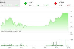 Phiên chiều 13/10: Large Cap hợp sức “nhấc bổng” VN-Index lên đỉnh mới