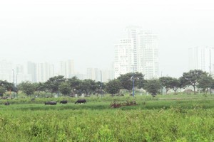 Điều chỉnh thu tiền thuê đất, thuê mặt nước